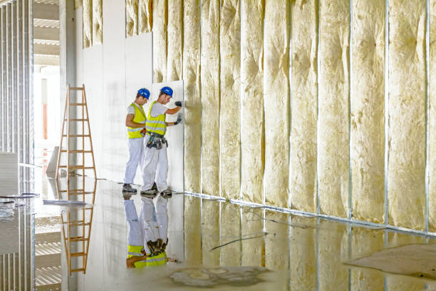Best Insulation for Specific Applications in Laguna Woods, CA